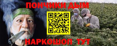 сатива Лесосибирск