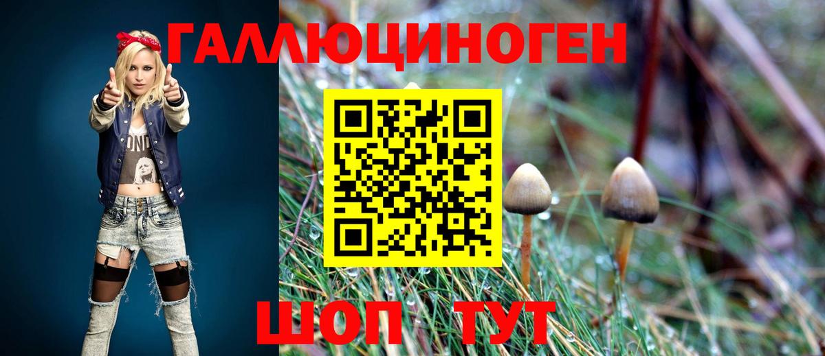 Галлюциногенные грибы ЛСД Гусев