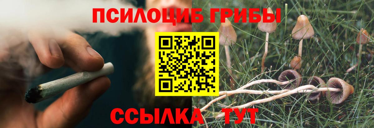 Галлюциногенные грибы MAGIC MUSHROOMS  купить наркотик  Гусев  Вход с VPN 